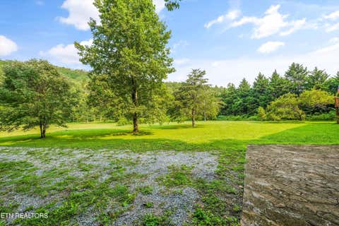 Tiny photo for 813 Steer Creek Rd, Tellico Plains, TN 37385 (MLS # 1350146)