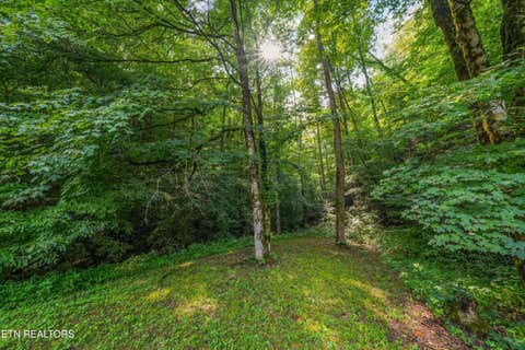 Tiny photo for 813 Steer Creek Rd, Tellico Plains, TN 37385 (MLS # 1350146)