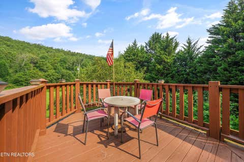 Tiny photo for 813 Steer Creek Rd, Tellico Plains, TN 37385 (MLS # 1350146)