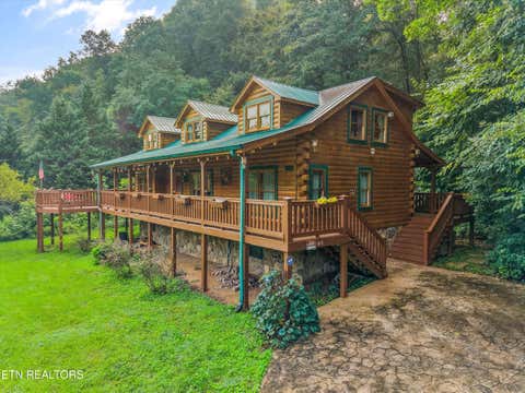 Tiny photo for 813 Steer Creek Rd, Tellico Plains, TN 37385 (MLS # 1350146)