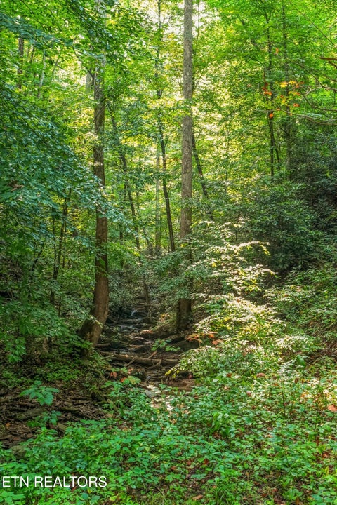 Tiny photo for 813 Steer Creek Rd, Tellico Plains, TN 37385 (MLS # 1350146)