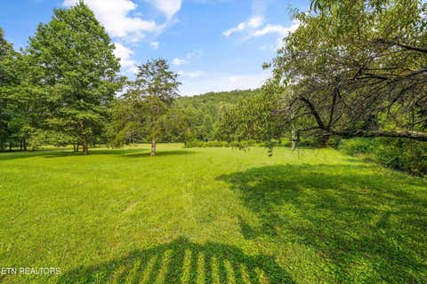 Tiny photo for 813 Steer Creek Rd, Tellico Plains, TN 37385 (MLS # 1350146)