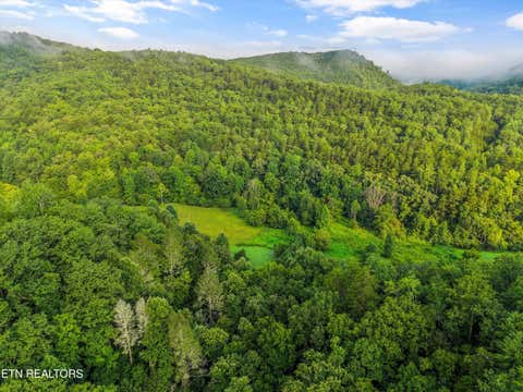 Tiny photo for 813 Steer Creek Rd, Tellico Plains, TN 37385 (MLS # 1350146)