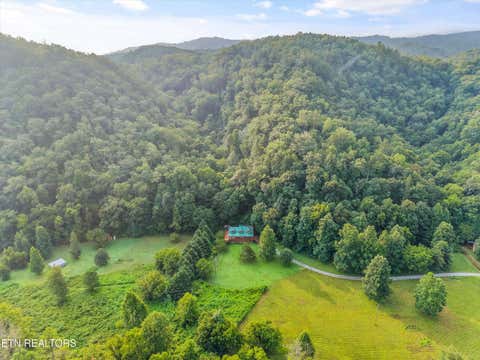 Tiny photo for 813 Steer Creek Rd, Tellico Plains, TN 37385 (MLS # 1350146)