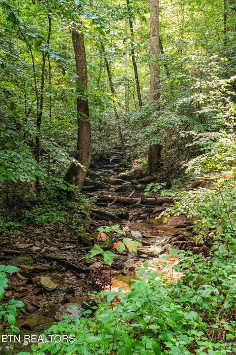 Tiny photo for 813 Steer Creek Rd, Tellico Plains, TN 37385 (MLS # 1350146)