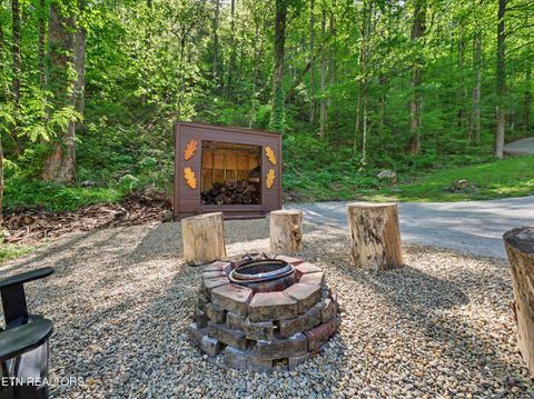Tiny photo for 1053 Big Buck Tr, Townsend, TN 37882 (MLS # 1337709)