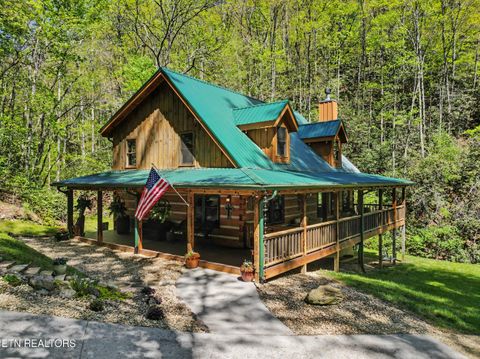 Tiny photo for 1053 Big Buck Tr, Townsend, TN 37882 (MLS # 1337709)