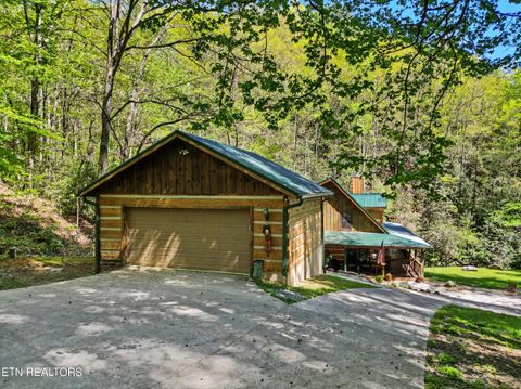 Tiny photo for 1053 Big Buck Tr, Townsend, TN 37882 (MLS # 1337709)