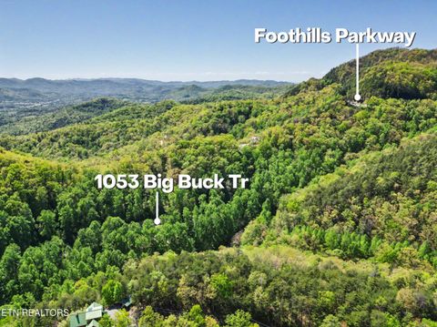 Tiny photo for 1053 Big Buck Tr, Townsend, TN 37882 (MLS # 1337709)