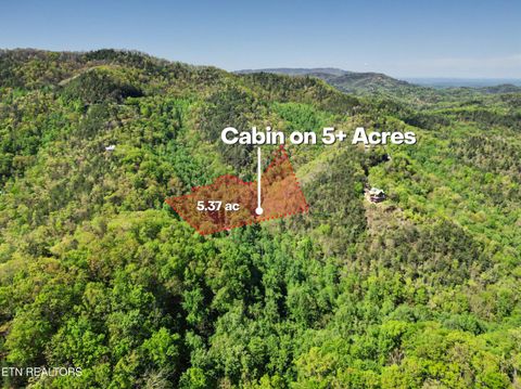 Tiny photo for 1053 Big Buck Tr, Townsend, TN 37882 (MLS # 1337709)