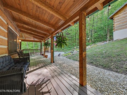 Tiny photo for 1053 Big Buck Tr, Townsend, TN 37882 (MLS # 1337709)