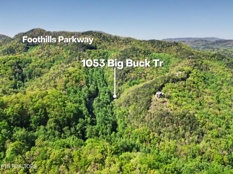 Tiny photo for 1053 Big Buck Tr, Townsend, TN 37882 (MLS # 1337709)