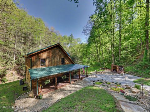 Tiny photo for 1053 Big Buck Tr, Townsend, TN 37882 (MLS # 1337709)