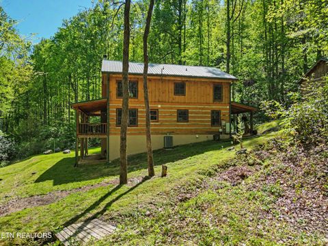 Tiny photo for 1053 Big Buck Tr, Townsend, TN 37882 (MLS # 1337709)
