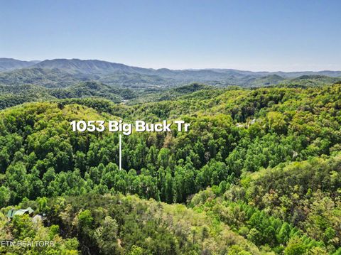 Tiny photo for 1053 Big Buck Tr, Townsend, TN 37882 (MLS # 1337709)
