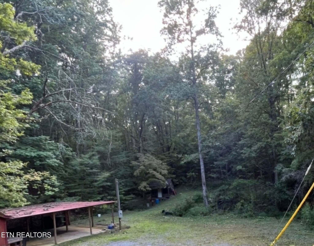 Photo of 1241 Azalea Lane Lane, Newport, TN 37821 (MLS # 1353315)