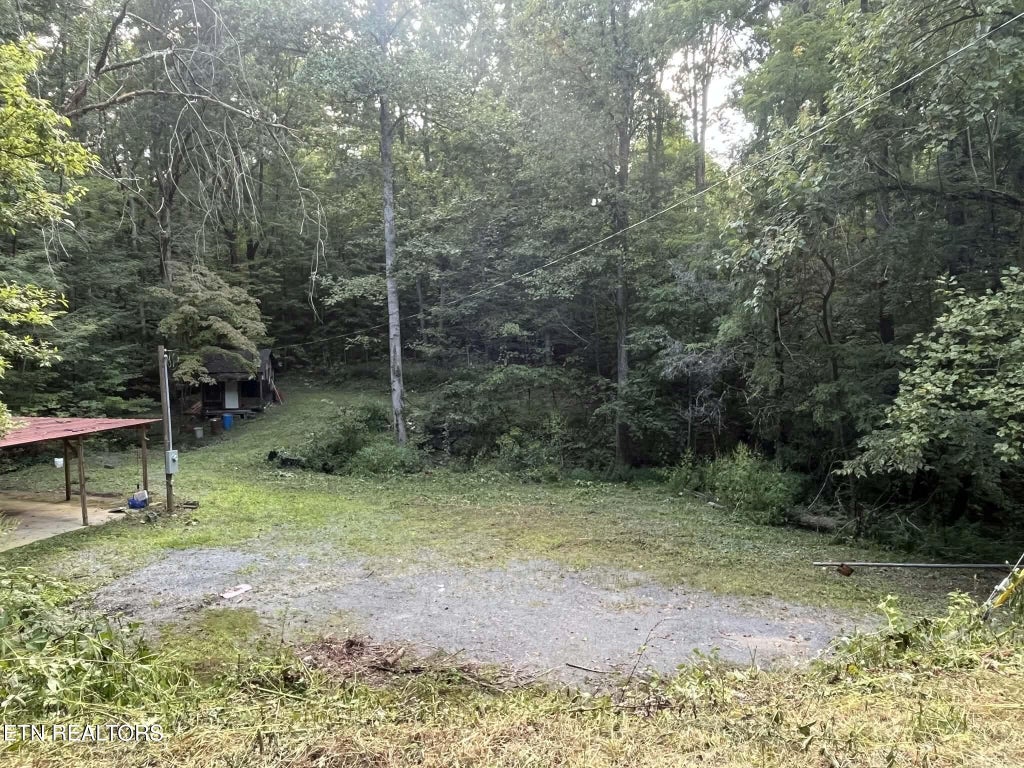 Photo of 1241 Azalea Lane Lane, Newport, TN 37821 (MLS # 1353315)