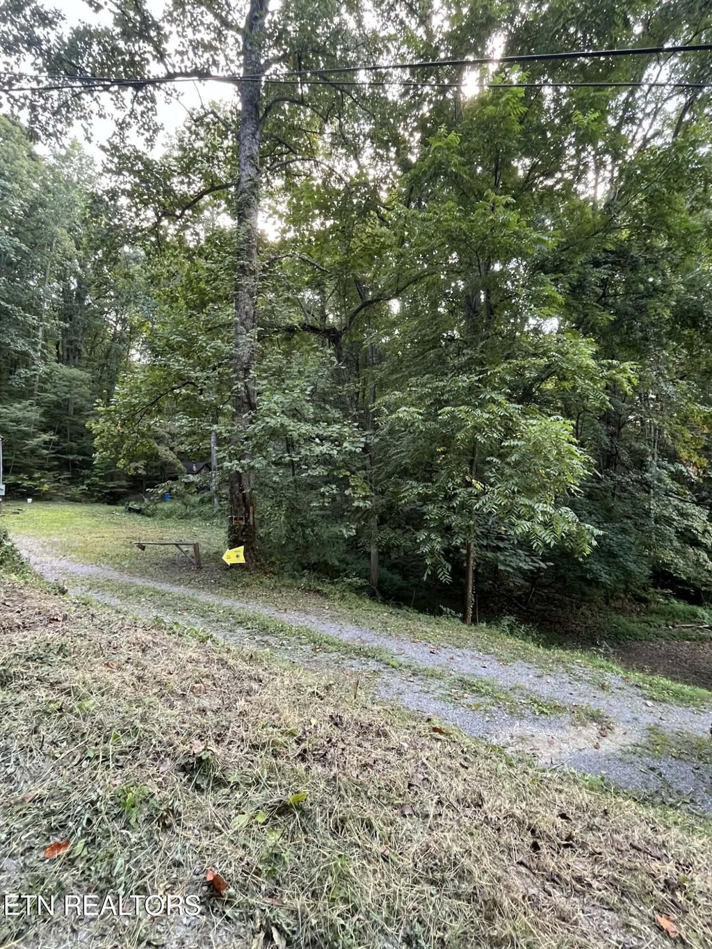 Photo of 1241 Azalea Lane Lane, Newport, TN 37821 (MLS # 1353315)