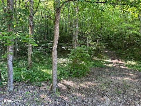 Brewer Lane Andersonville TN 37705