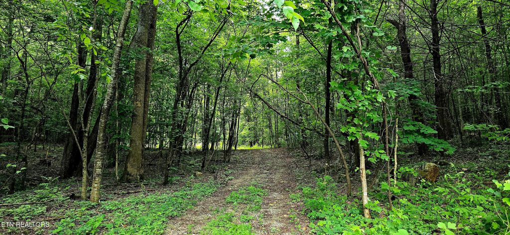 Photo of 1580 Restful Way, Newport, TN 37821 (MLS # 1305471)