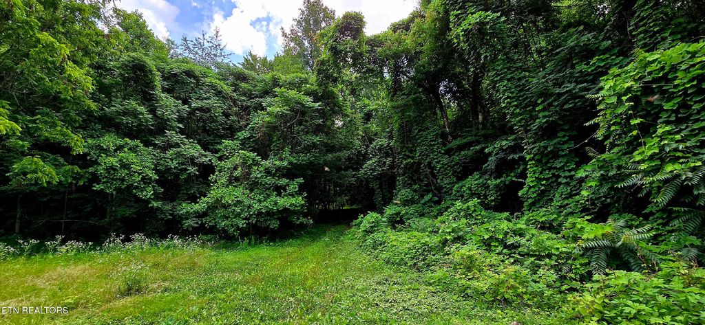 Photo of 1580 Restful Way, Newport, TN 37821 (MLS # 1305471)