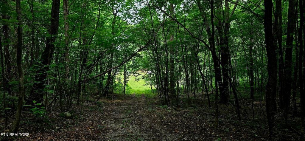 Photo of 1580 Restful Way, Newport, TN 37821 (MLS # 1305471)