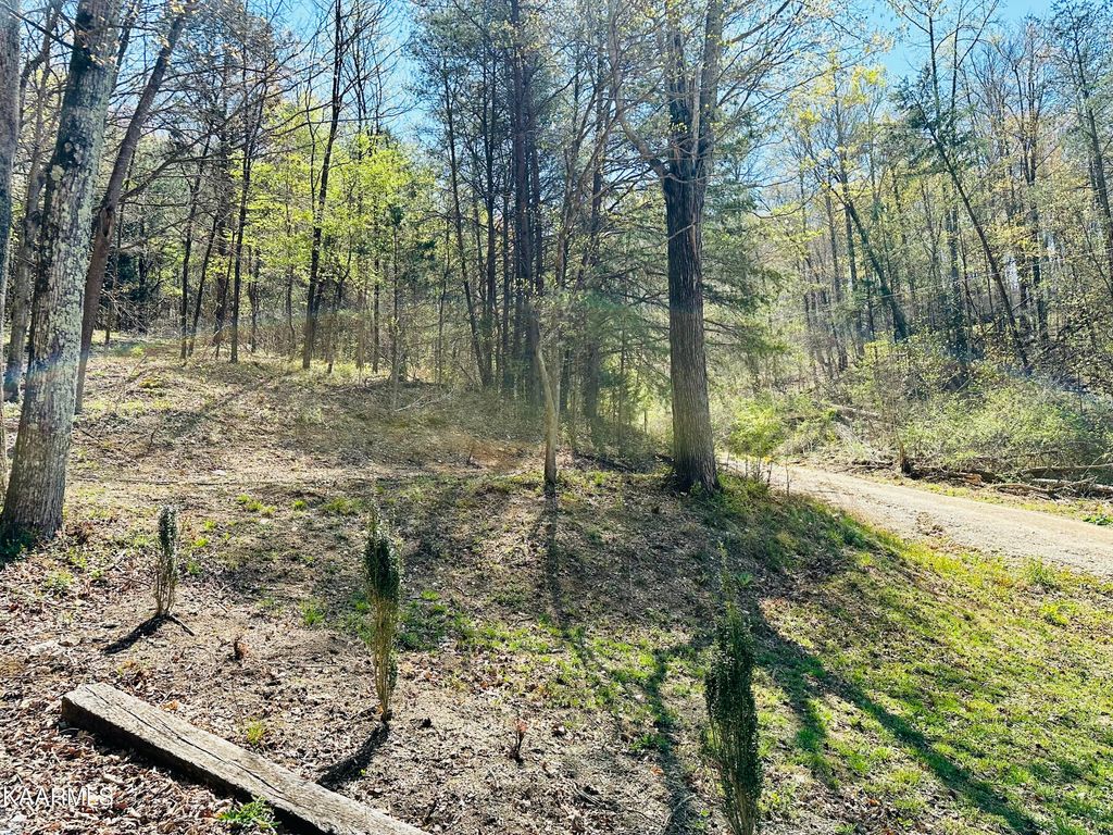Photo of MINTON HOLLOW Rd, New Tazewell, TN 37825 (MLS # 1223459)