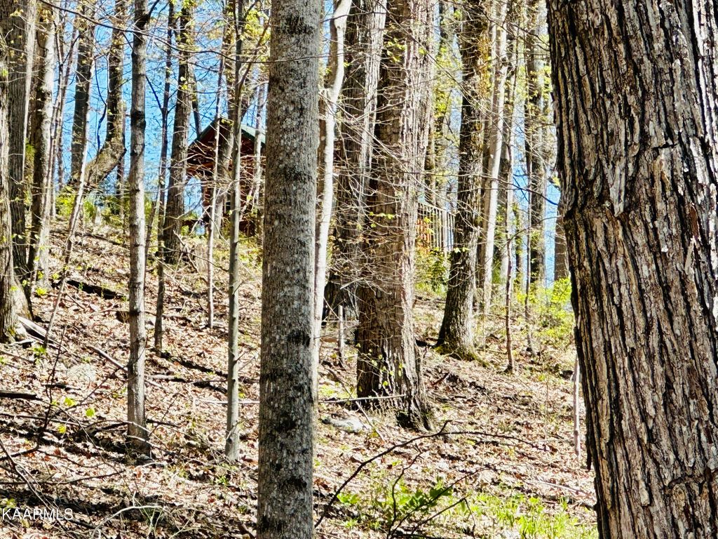 Photo of MINTON HOLLOW Rd, New Tazewell, TN 37825 (MLS # 1223459)