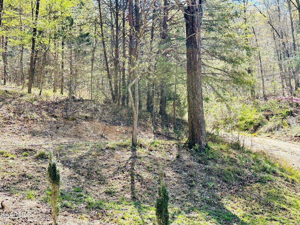 Photo of MINTON HOLLOW Rd, New Tazewell, TN 37825 (MLS # 1223459)
