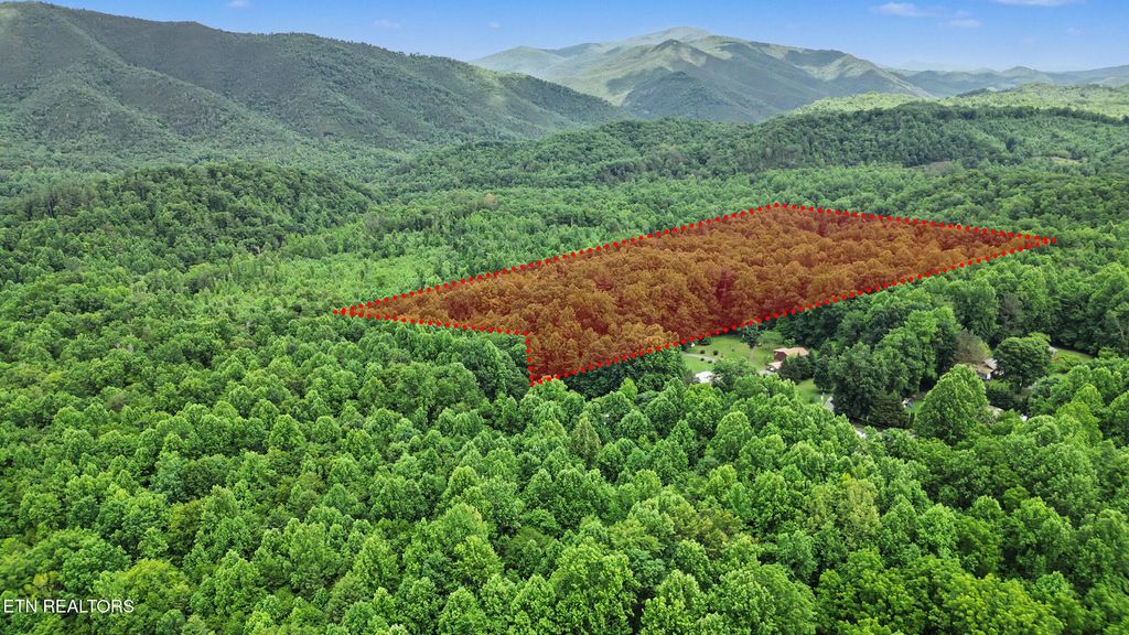 Photo of Flat Rd, Cosby, TN 37722 (MLS # 1342647)