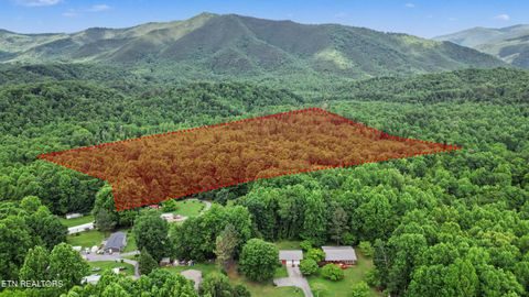 Photo of Flat Rd, Cosby, TN 37722 (MLS # 1342647)