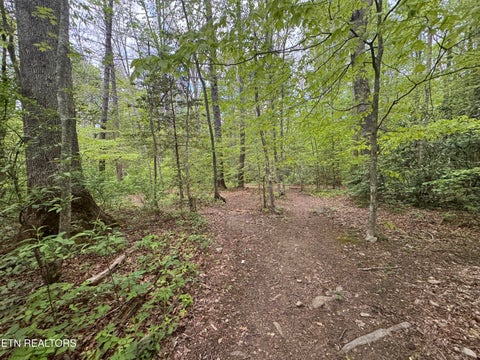 Tiny photo for Flat Rd, Cosby, TN 37722 (MLS # 1342647)