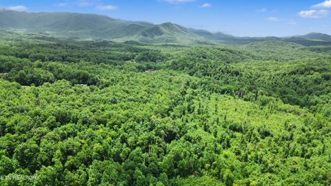 Tiny photo for Flat Rd, Cosby, TN 37722 (MLS # 1342647)