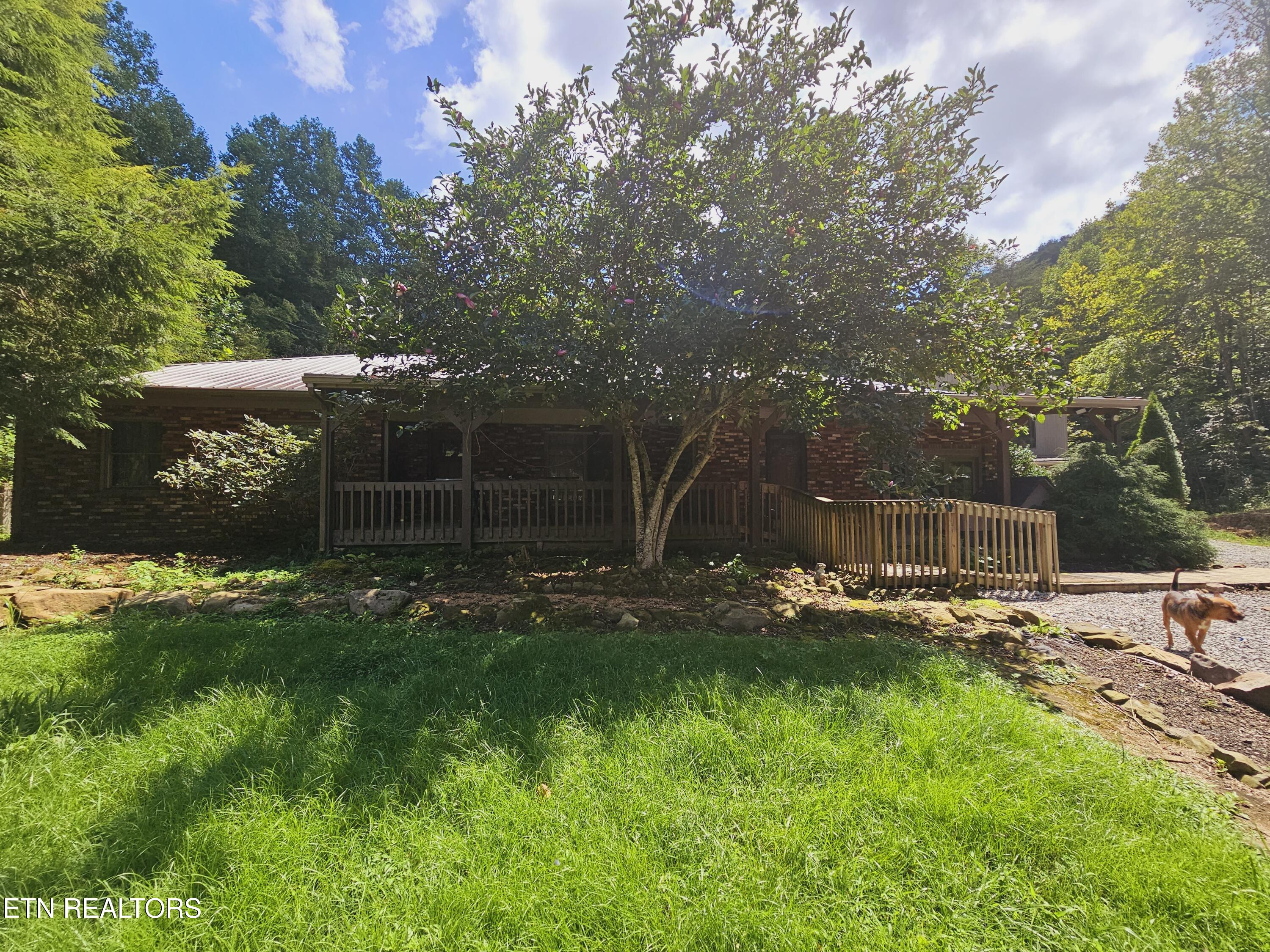 319 Kinningham Branch