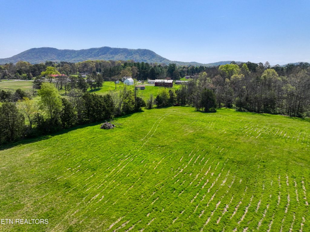 Photo of 8405 Washington Pike, Corryton, TN 37721 (MLS # 1315279)