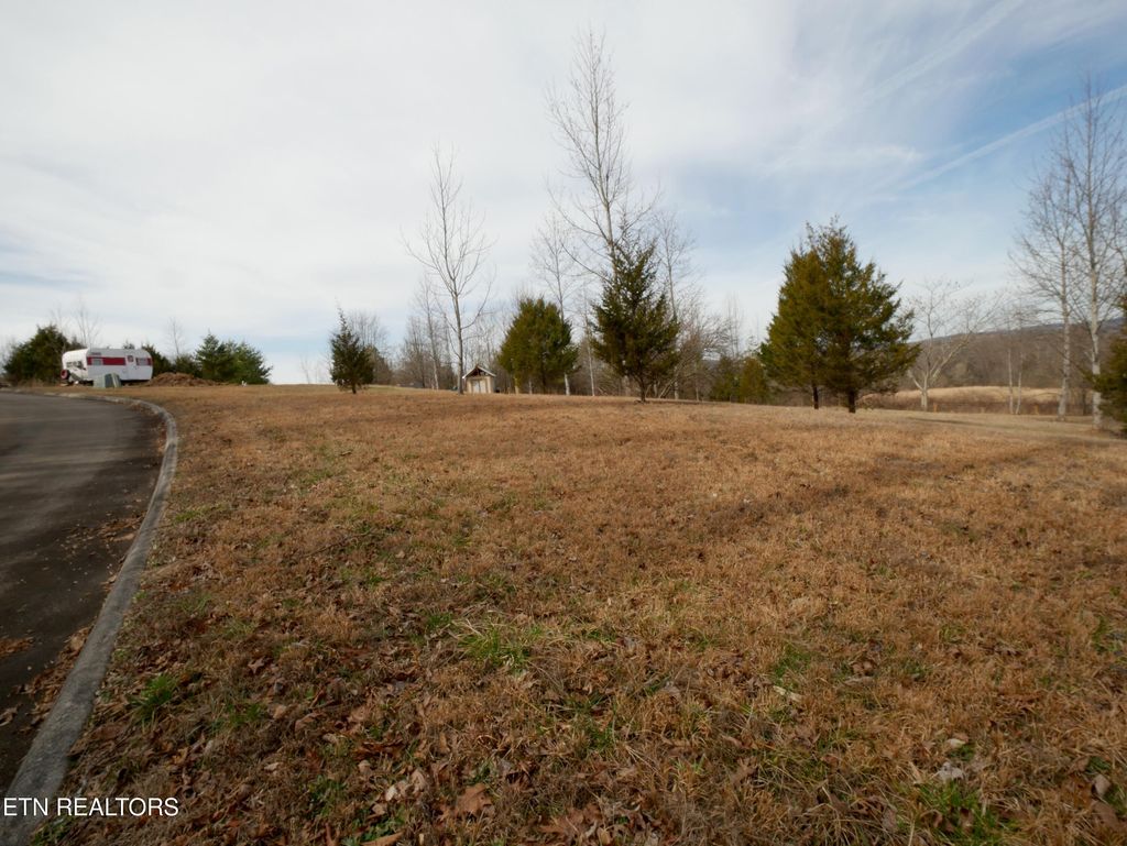 Photo of 735 County Road 350, Niota, TN 37826 (MLS # 1331295)