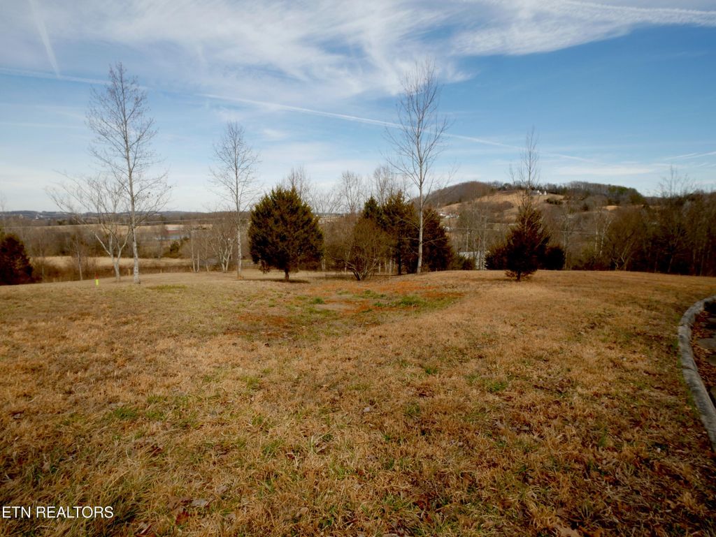 Photo of 735 County Road 350, Niota, TN 37826 (MLS # 1331295)