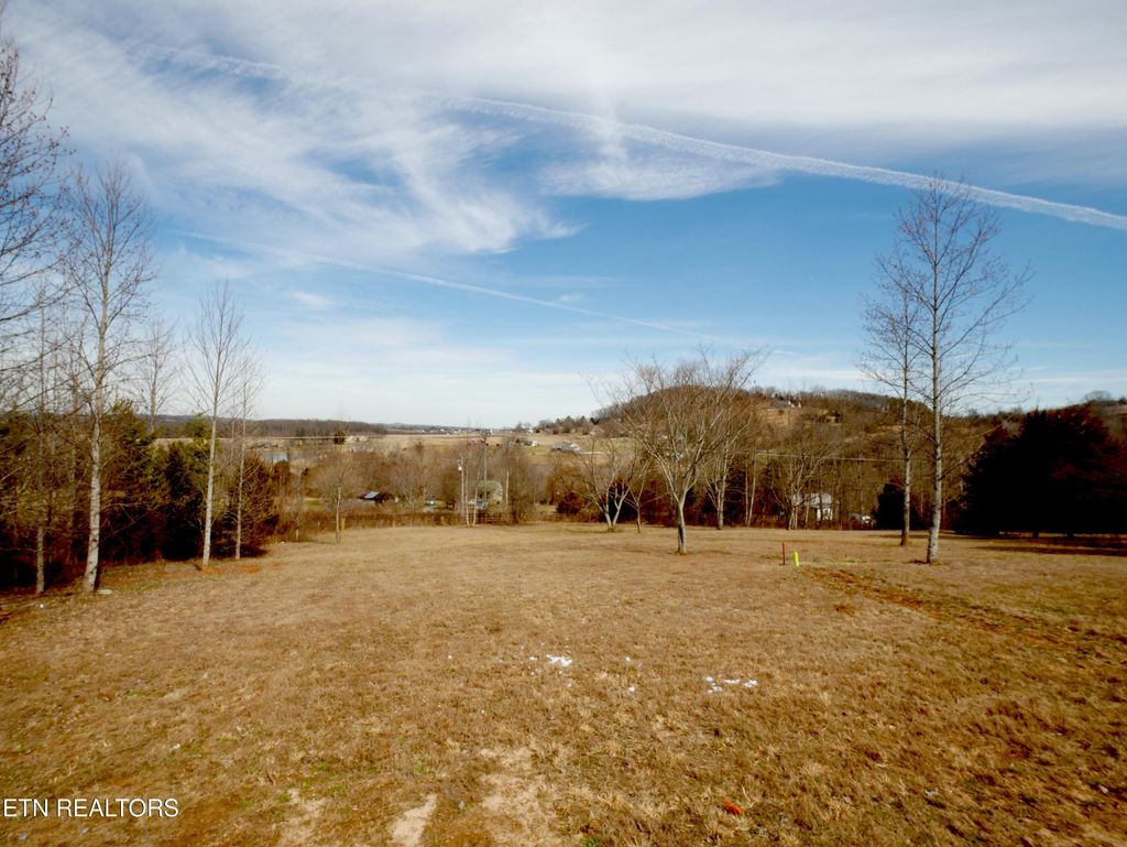 Photo of 735 County Road 350, Niota, TN 37826 (MLS # 1331295)