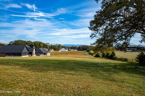 Tiny photo for 1017 Herbert Drive, Greenback, TN 37742 (MLS # 1319242)