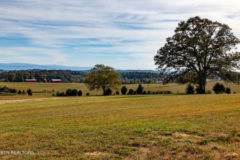 Tiny photo for 1017 Herbert Drive, Greenback, TN 37742 (MLS # 1319242)