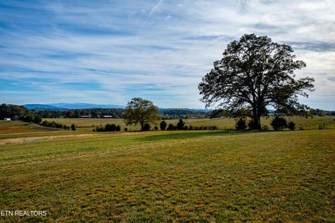 Tiny photo for 1017 Herbert Drive, Greenback, TN 37742 (MLS # 1319242)