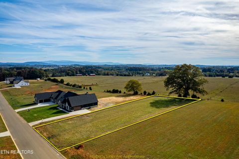 Tiny photo for 1017 Herbert Drive, Greenback, TN 37742 (MLS # 1319242)