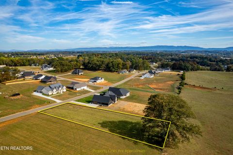 Photo of 1017 Herbert Drive, Greenback, TN 37742 (MLS # 1319242)