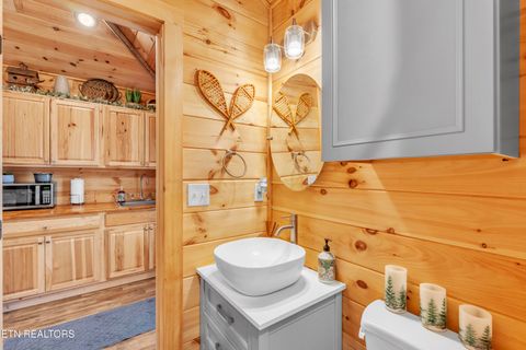 Tiny photo for 750 Caney Creek Rd, Cosby, TN 37722 (MLS # 1324020)