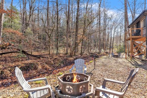 Tiny photo for 750 Caney Creek Rd, Cosby, TN 37722 (MLS # 1324020)