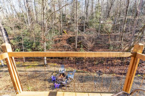 Tiny photo for 750 Caney Creek Rd, Cosby, TN 37722 (MLS # 1324020)