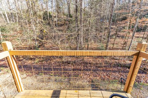 Tiny photo for 750 Caney Creek Rd, Cosby, TN 37722 (MLS # 1324020)