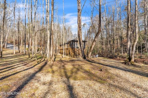 Tiny photo for 750 Caney Creek Rd, Cosby, TN 37722 (MLS # 1324020)