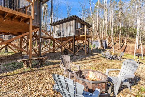 Tiny photo for 750 Caney Creek Rd, Cosby, TN 37722 (MLS # 1324020)