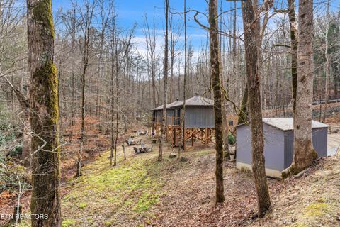 Tiny photo for 750 Caney Creek Rd, Cosby, TN 37722 (MLS # 1324020)